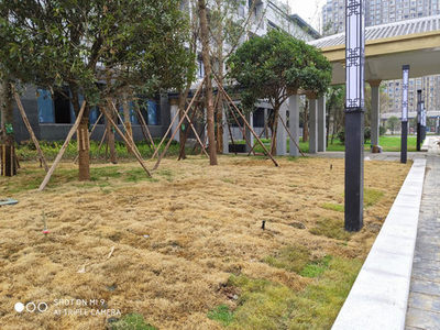 四川园林绿化喷灌及滴灌设备和产品的规划安装要点